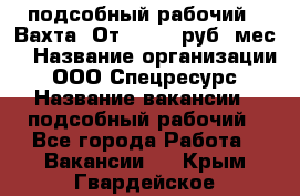 подсобный рабочий . Вахта. От 30 000 руб./мес. › Название организации ­ ООО Спецресурс › Название вакансии ­ подсобный рабочий - Все города Работа » Вакансии   . Крым,Гвардейское